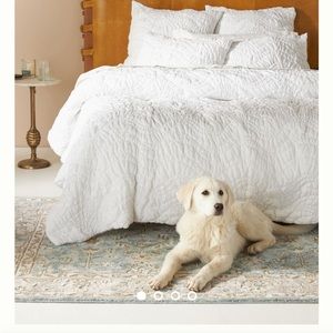 Anthropologie Bajada Jersey King Size Quilt